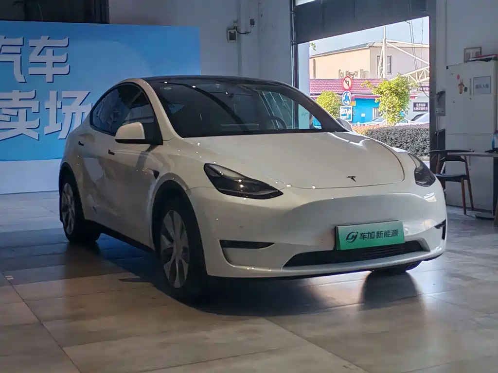 Tesla Model Y — миниатюра 3