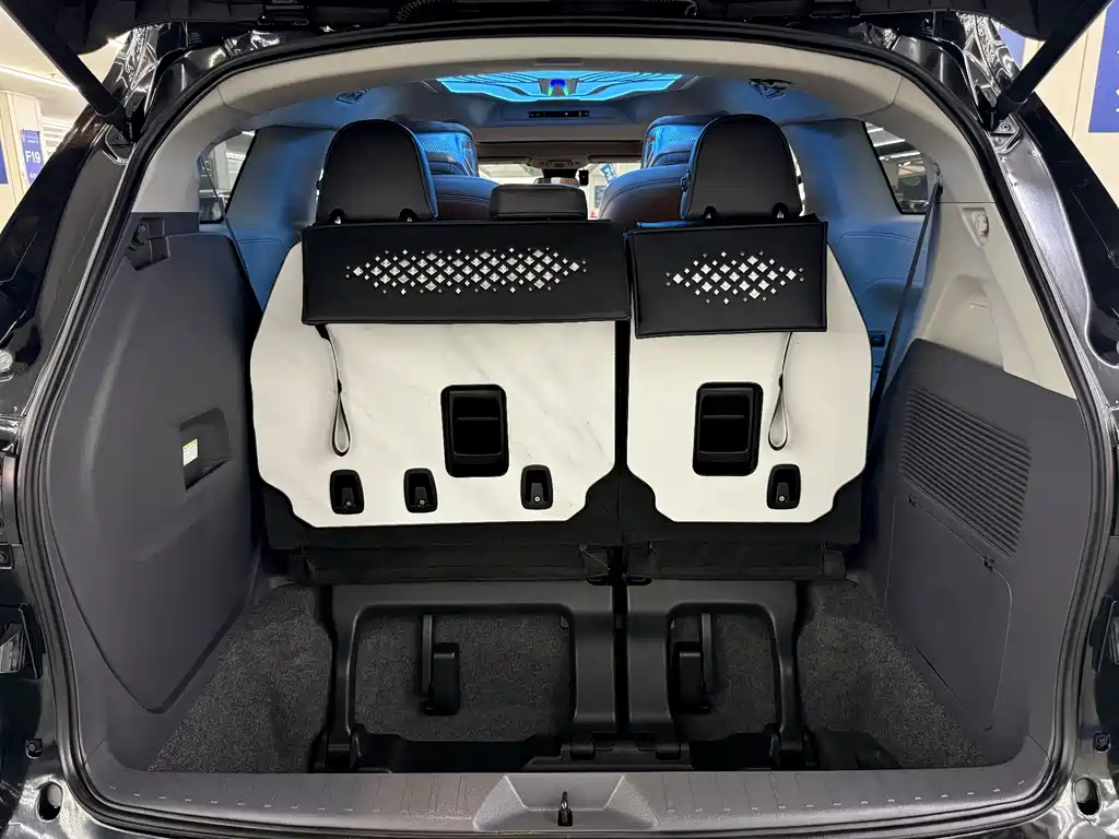 Toyota Sienna — миниатюра 15