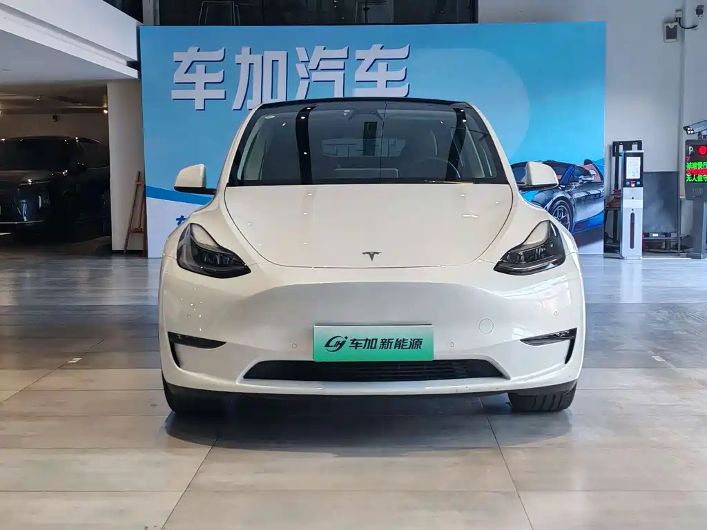 Tesla Model Y — миниатюра 2