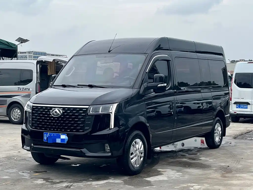 Maxus V80