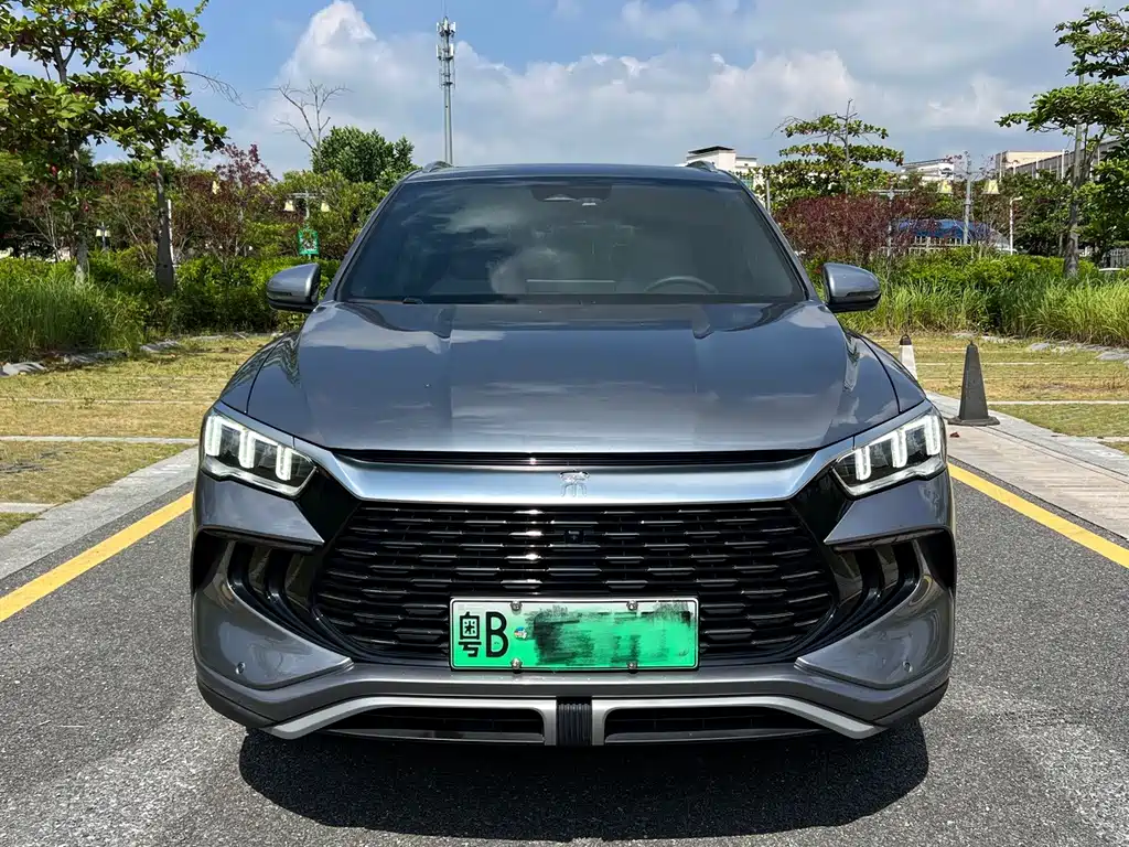 BYD Pro New Energy