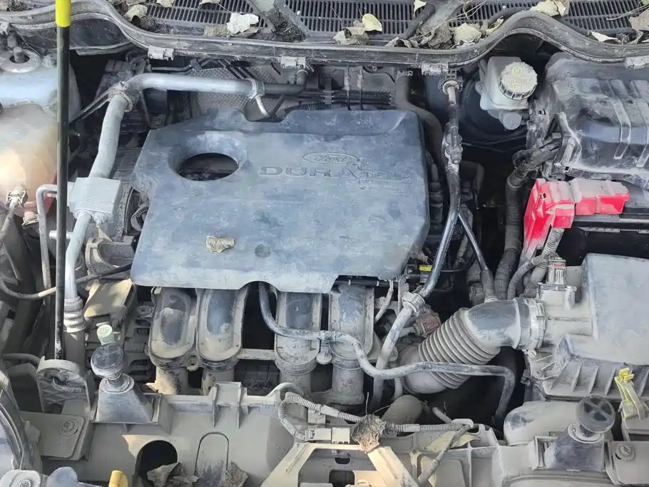 Ford Ecosport — миниатюра 10