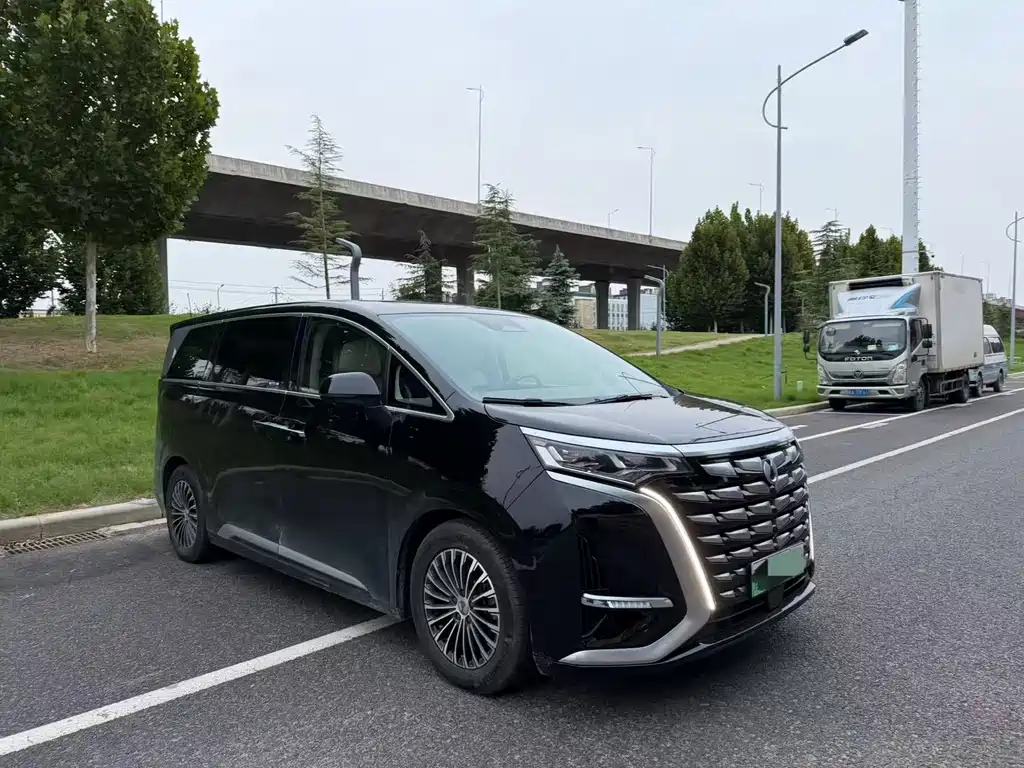 Denza Denza D9 — миниатюра 3