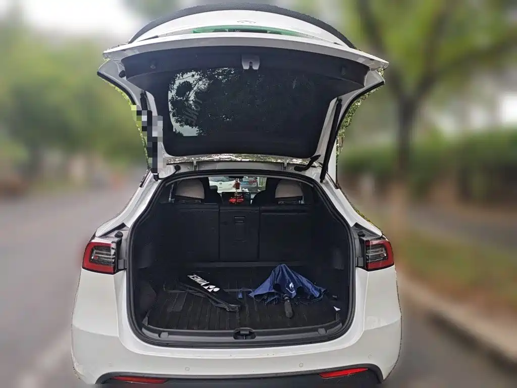 Tesla Model Y — миниатюра 15