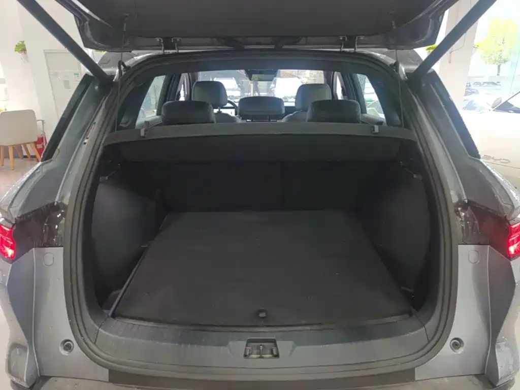 BYD Pro New Energy — миниатюра 19