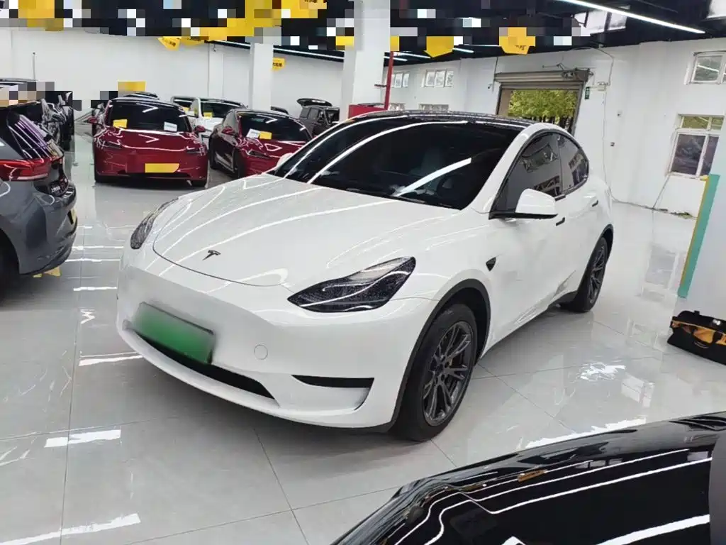 Tesla Model Y — миниатюра 2