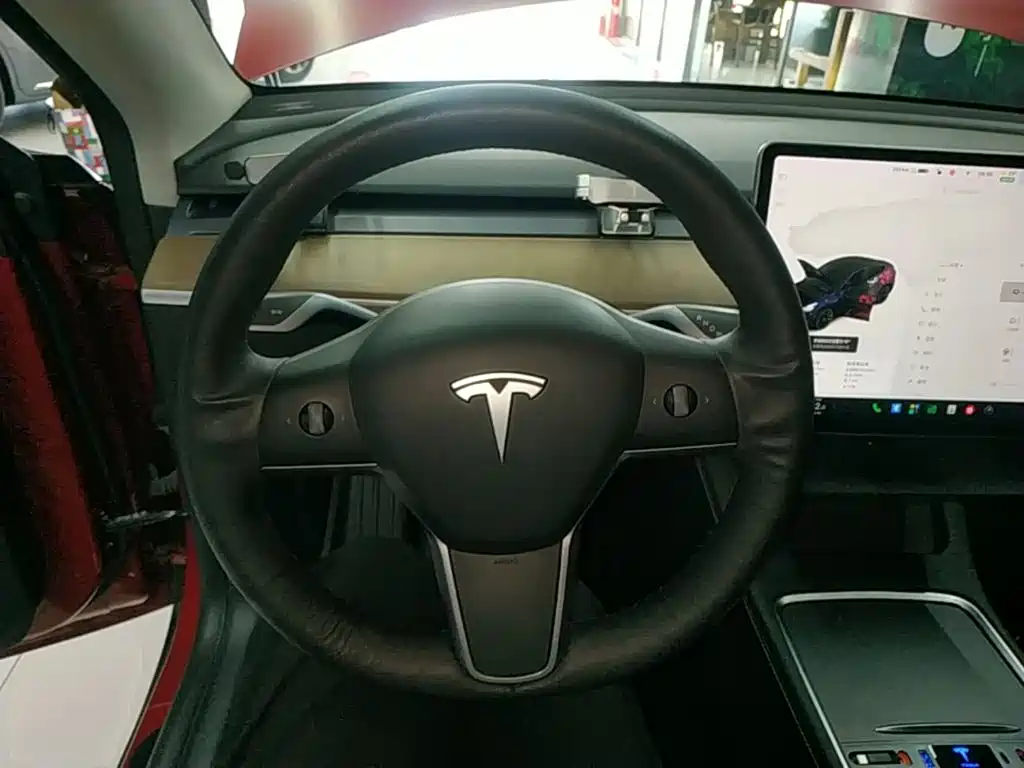 Tesla Model Y — миниатюра 11