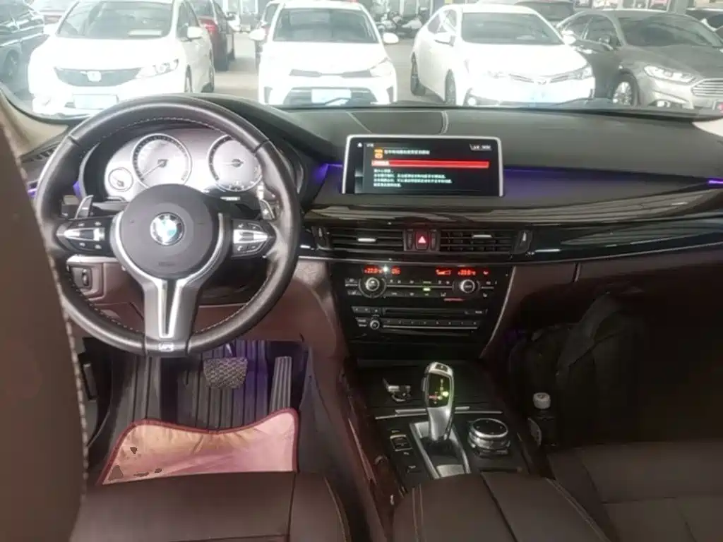 BMW X5 (Import) — миниатюра 10