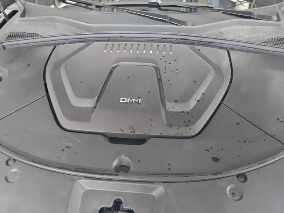 BYD PLUS New Energy — миниатюра 10