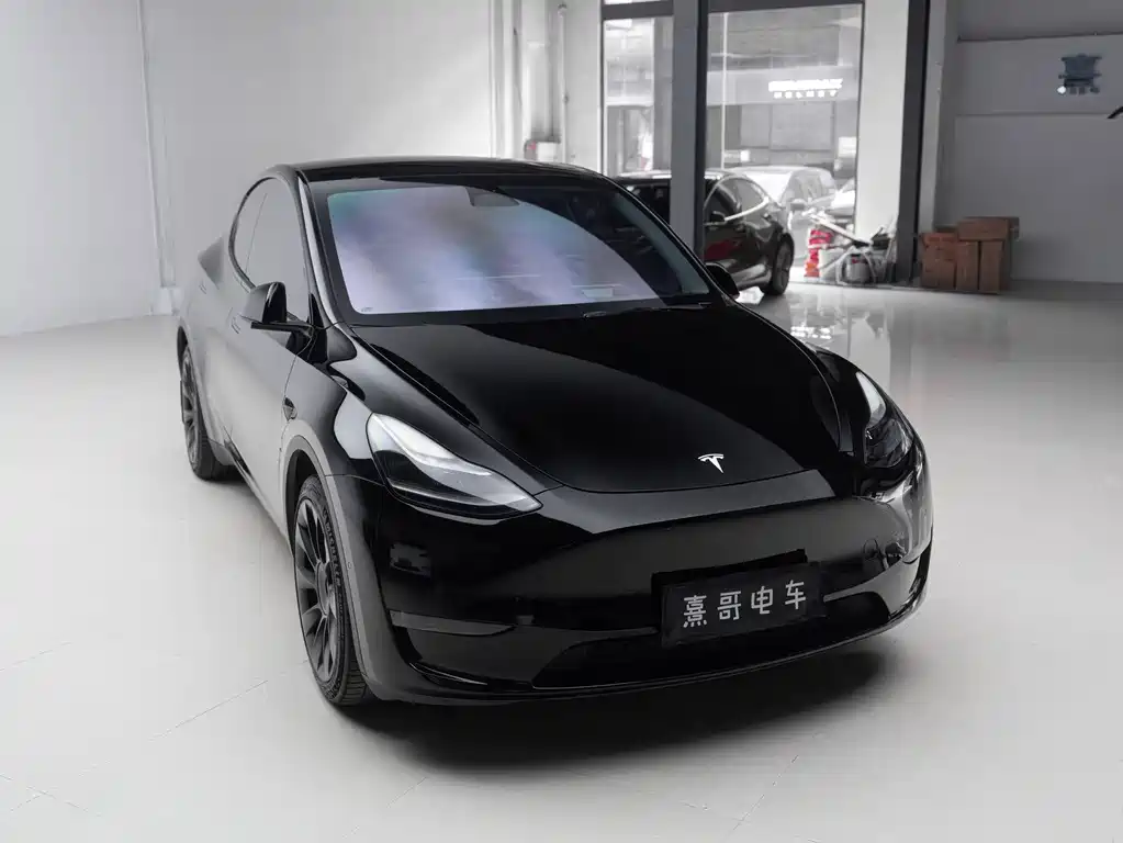 Tesla Model Y — миниатюра 9