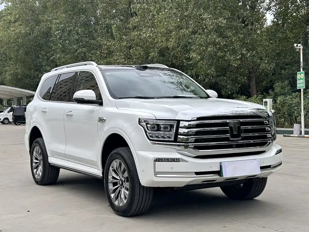 Tank Tank 500 New Energy — миниатюра 3