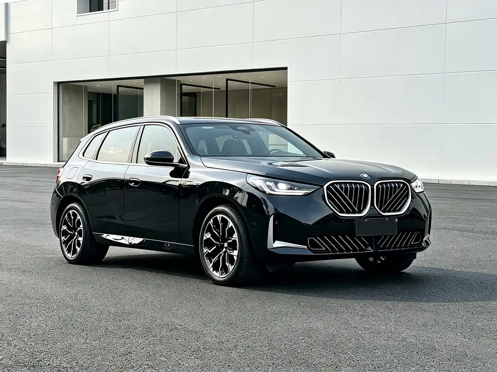 BMW X3 — миниатюра 3