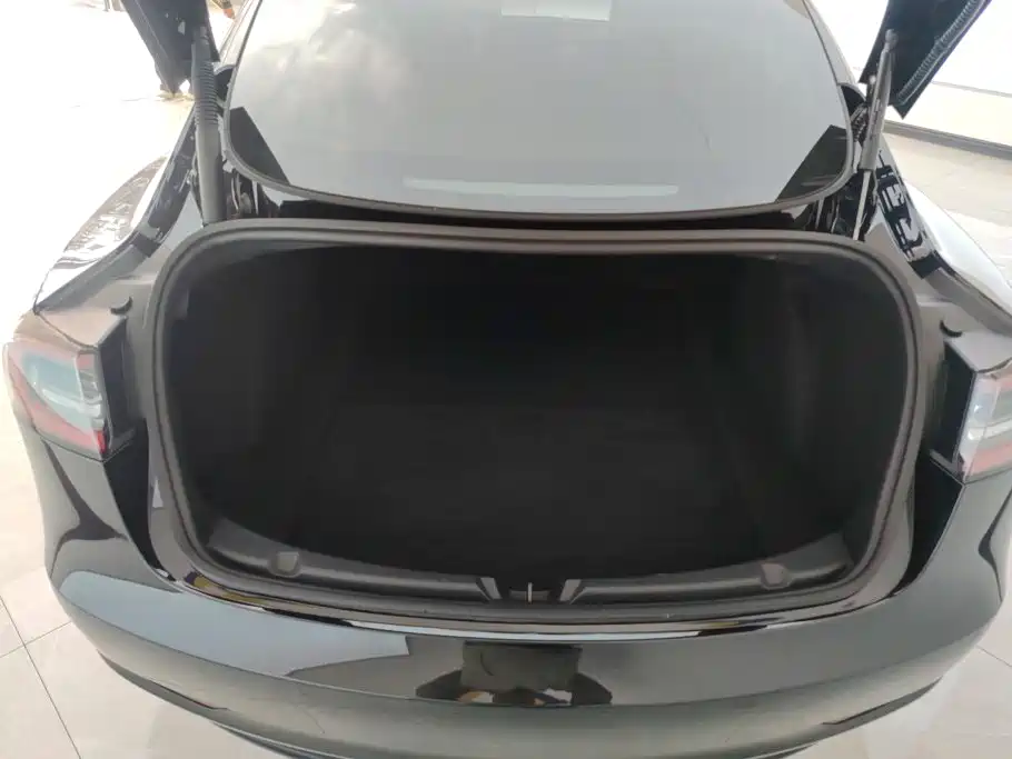 Tesla Model 3 — миниатюра 4