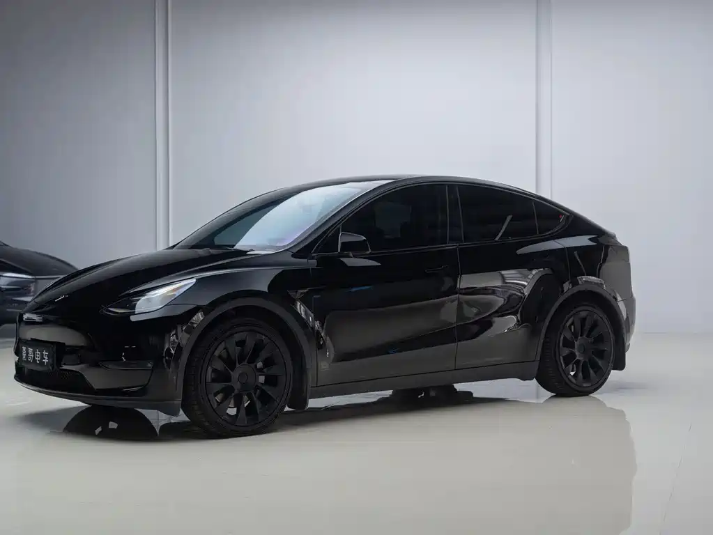 Tesla Model Y — миниатюра 2