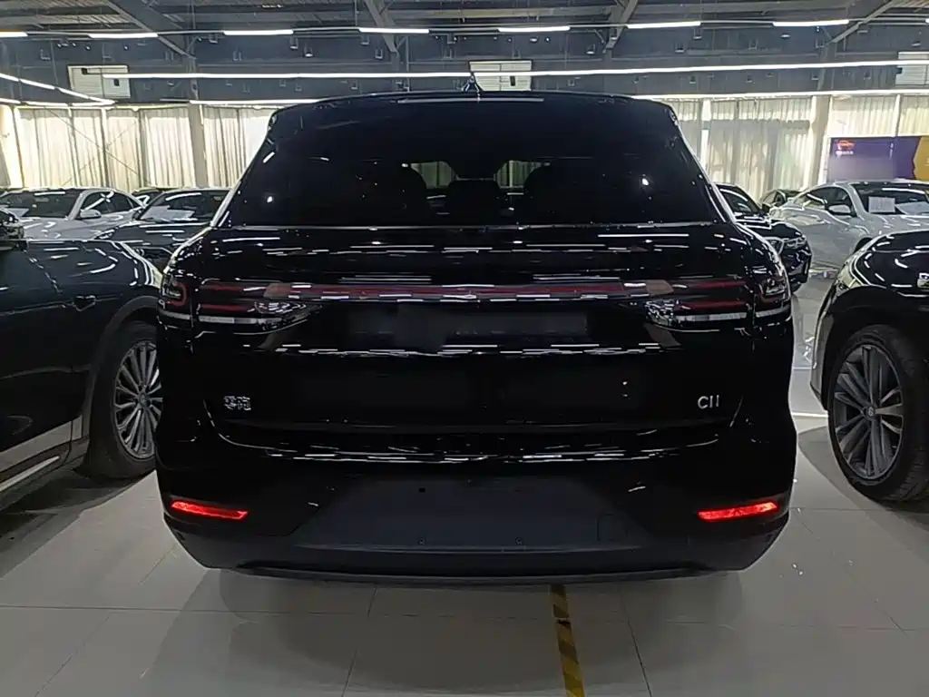 Leapmotor Leapmotor C11 — миниатюра 6