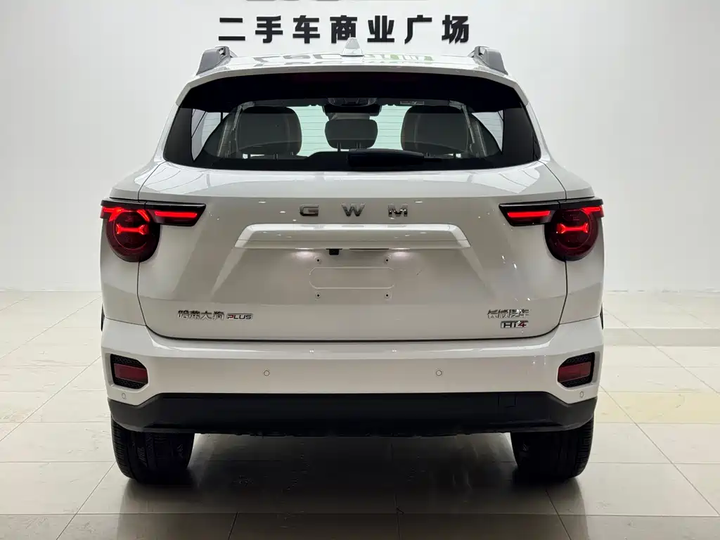 Haval Big Dog PLUS New Energy — миниатюра 19