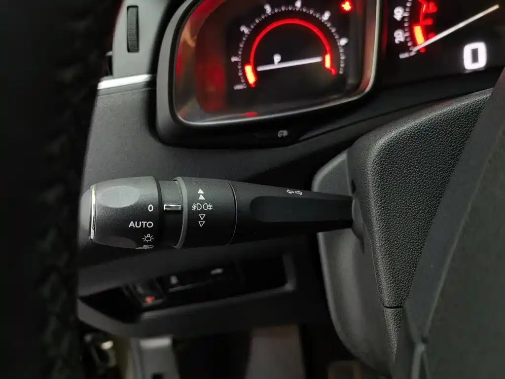 DS DS 5LS — миниатюра 21
