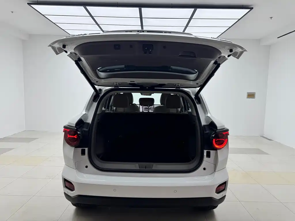 Haval Big Dog PLUS New Energy — миниатюра 17