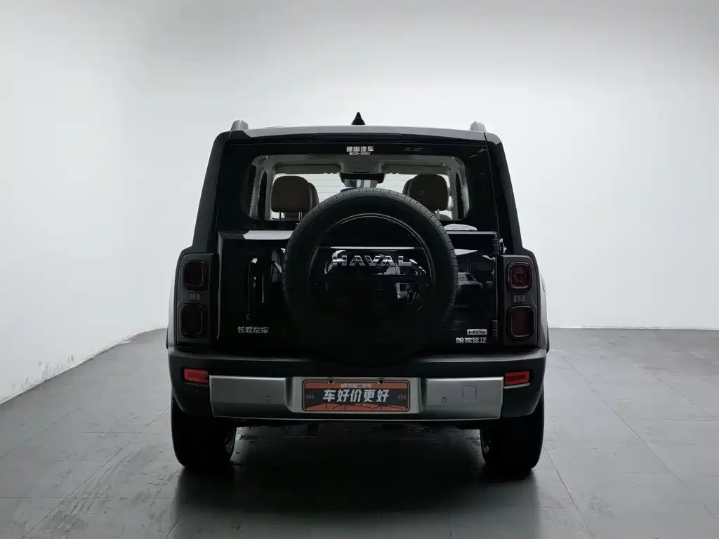 Haval Menglong New Energy — миниатюра 4