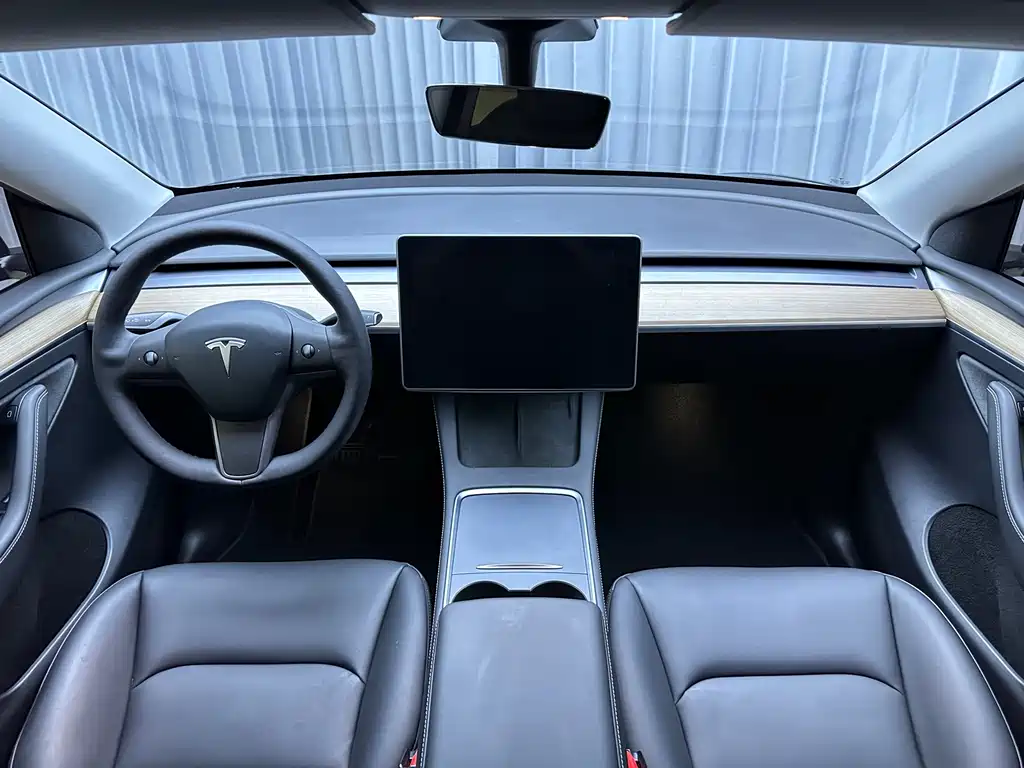 Tesla Model Y — миниатюра 11