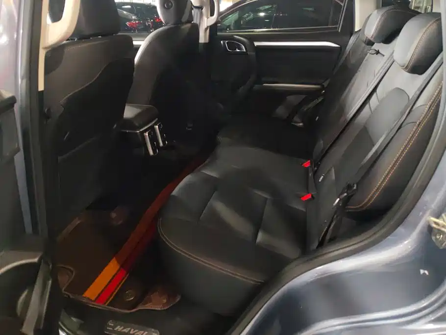 Haval 长城大狗 — миниатюра 11