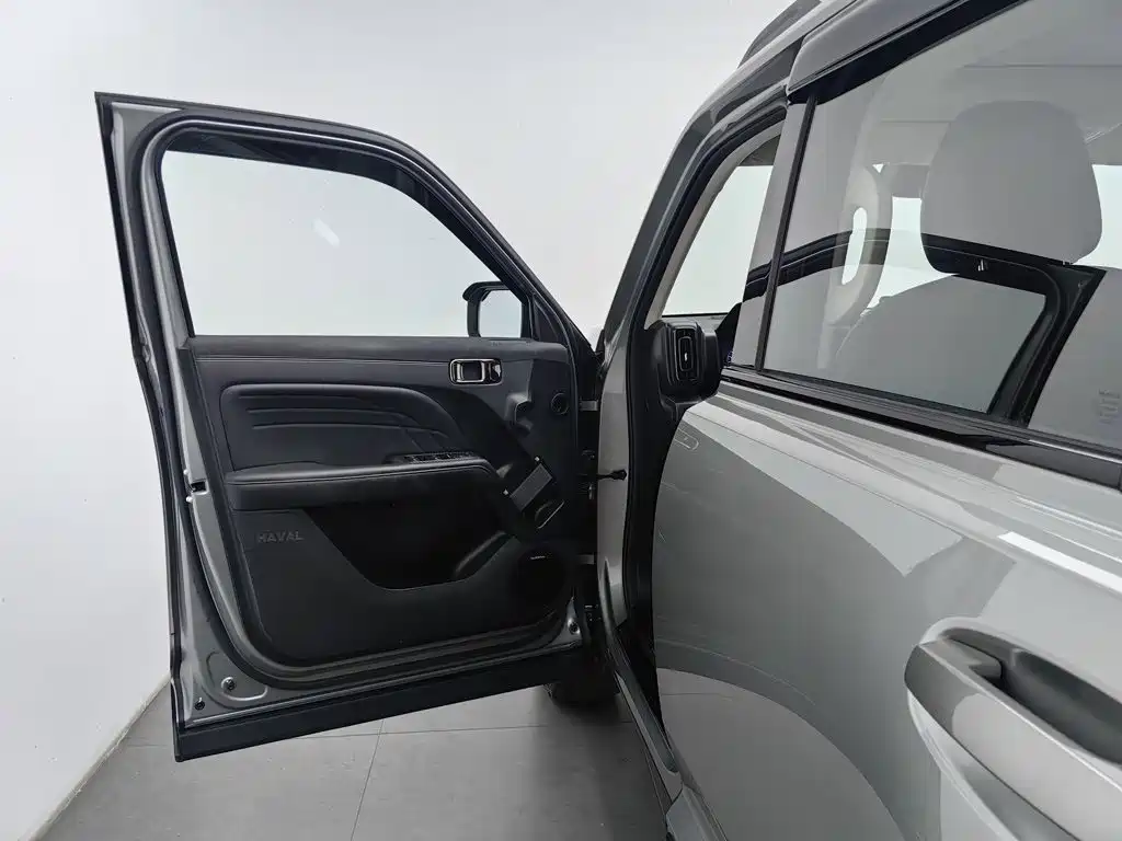 Haval Menglong New Energy — миниатюра 8