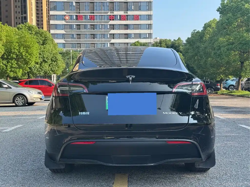 Tesla Model Y — миниатюра 6