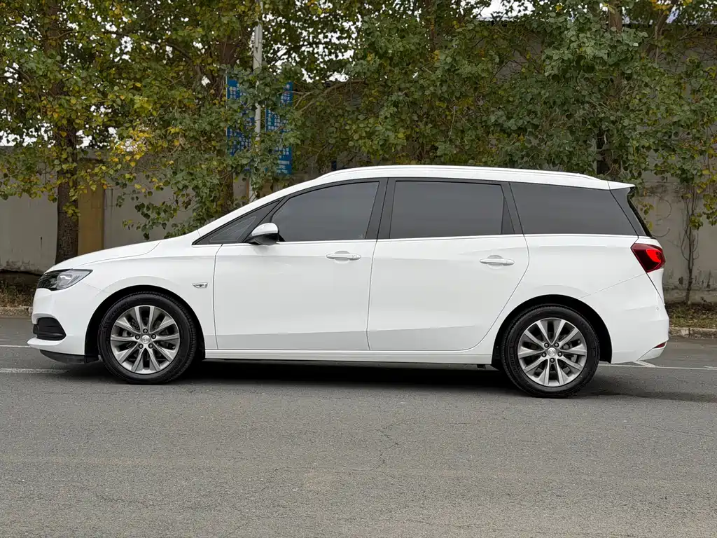 Buick GL6 — миниатюра 7