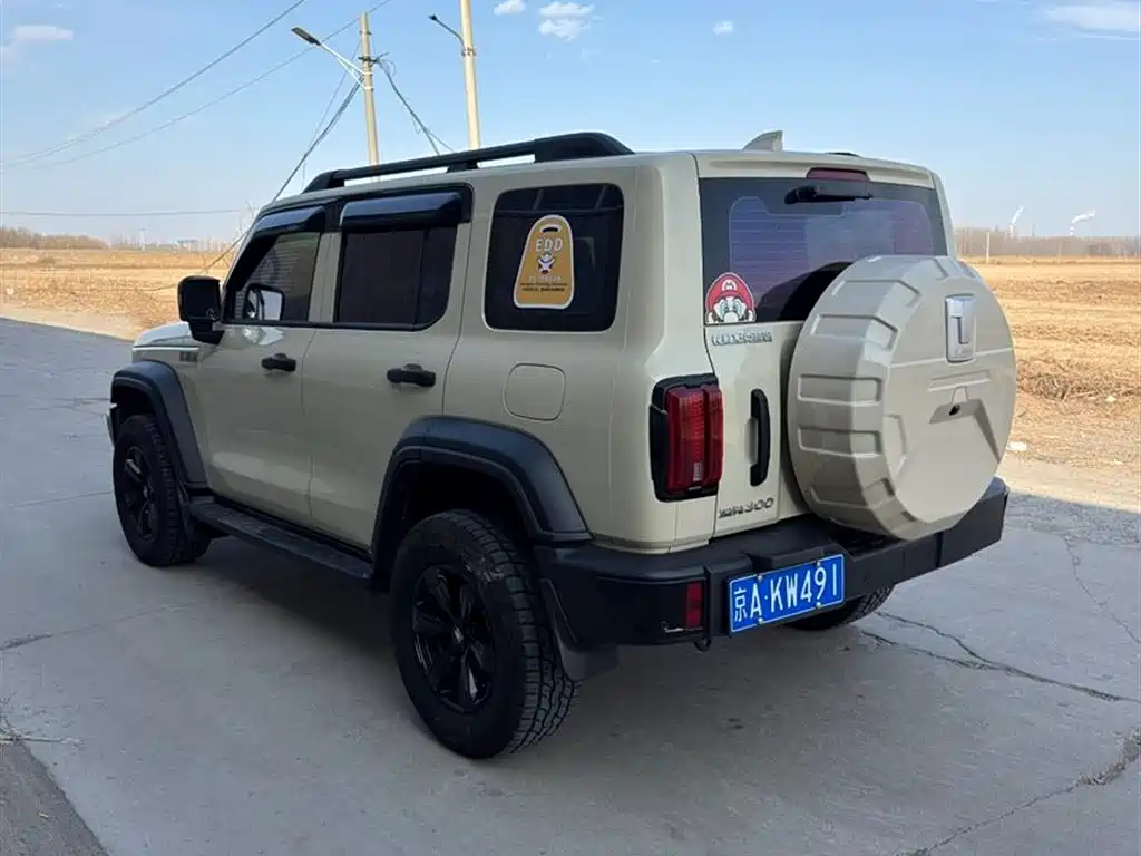 Tank 300 2025 2.0T