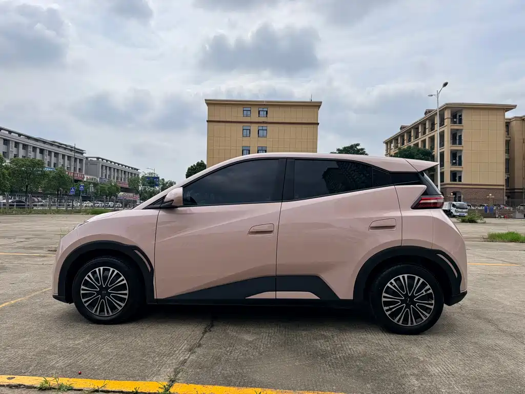 BYD Seagull 2024 305km Freedom
