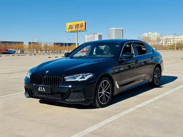 BMW 5 SERIES