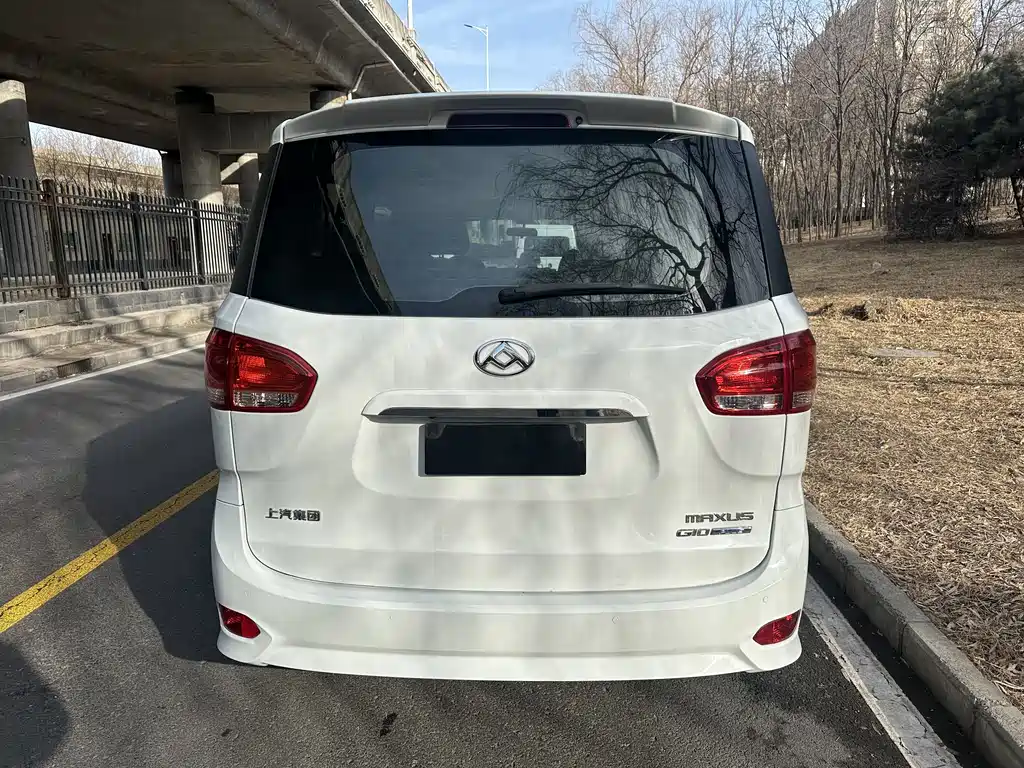 SAIC MAXUS CHASE G10