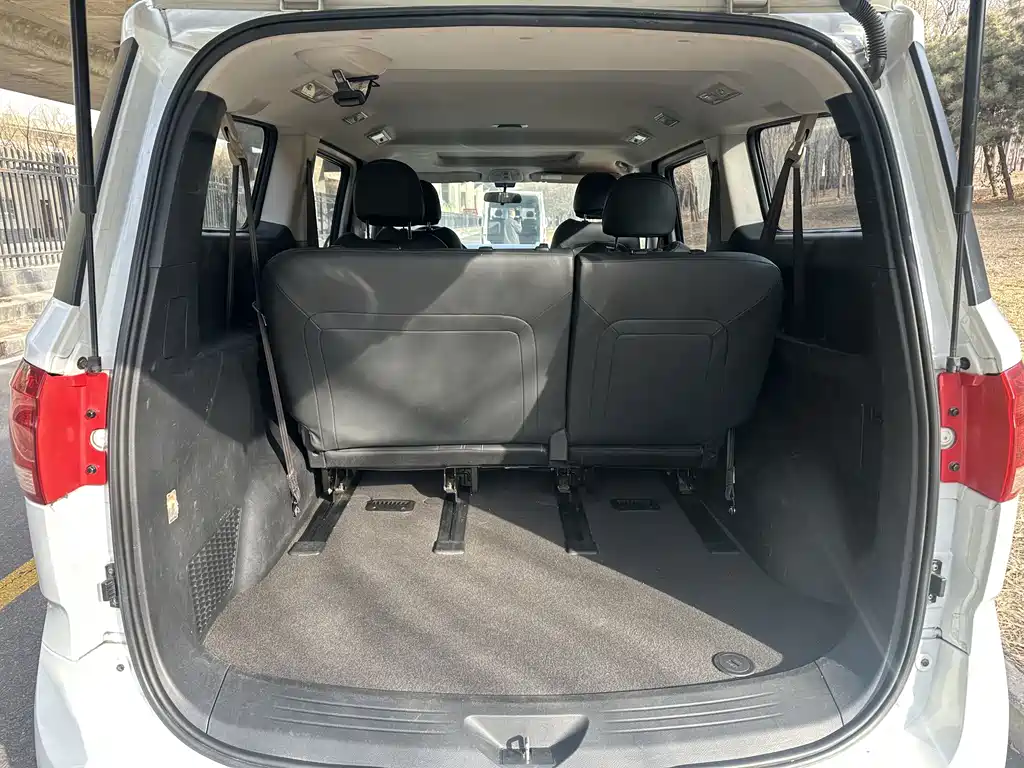 SAIC MAXUS CHASE G10