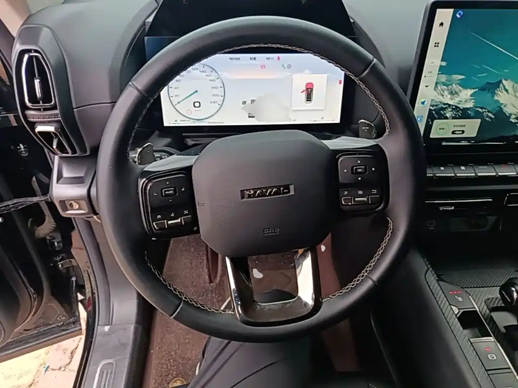 Haval Big Dog PLUS — миниатюра 11