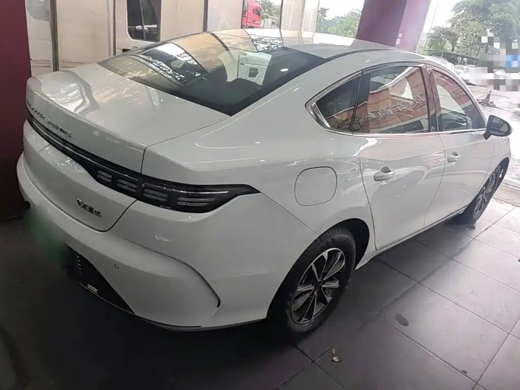 BYD Destroyer 05 2024 DM-i 55KM Luxury