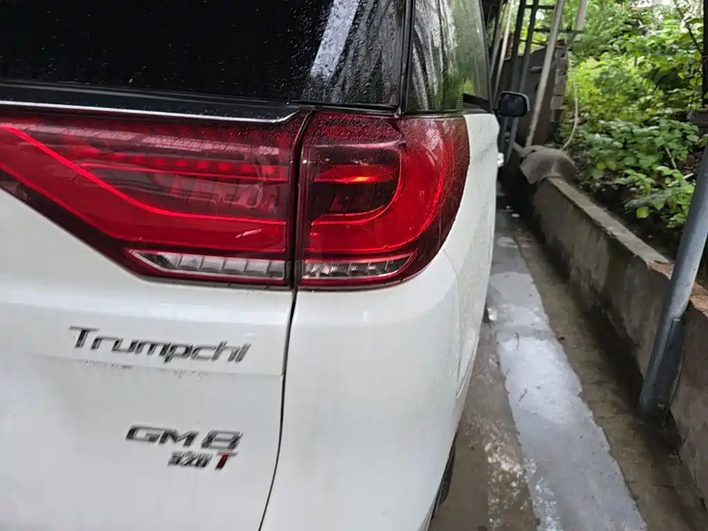 GAC Motor Trumpchi M8 — миниатюра 8