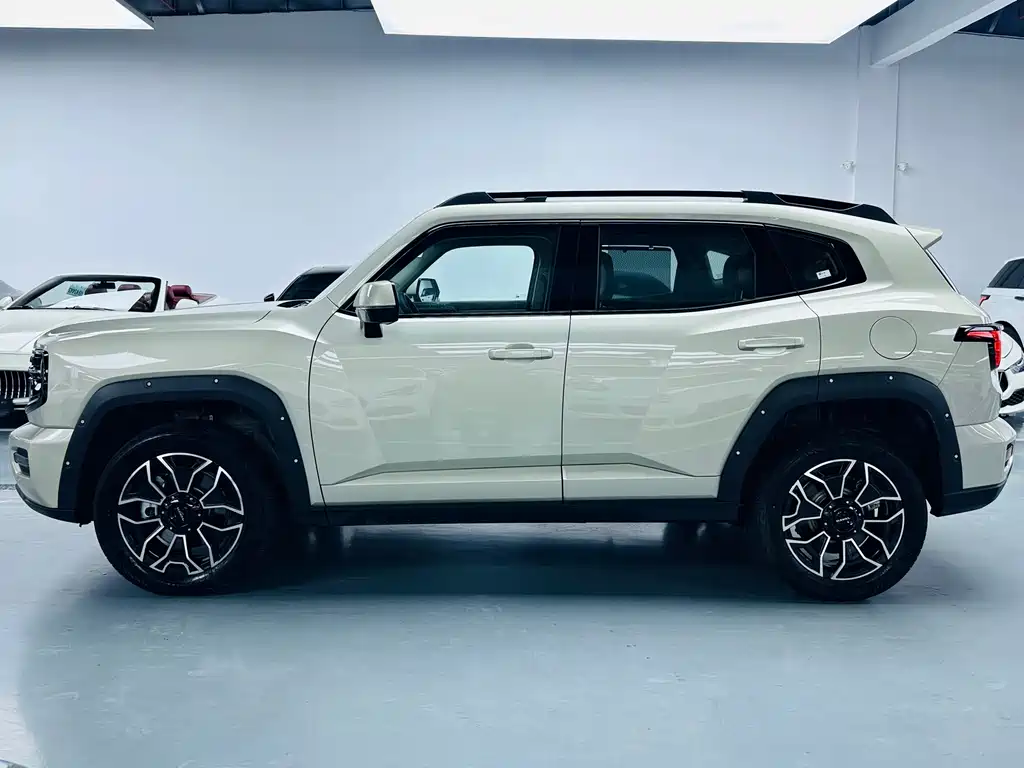 Haval Big Dog PLUS New Energy — миниатюра 12
