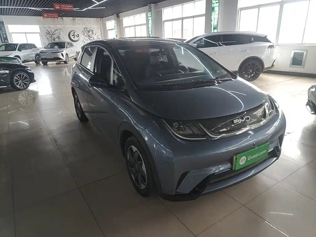 BYD Dolphin — миниатюра 4