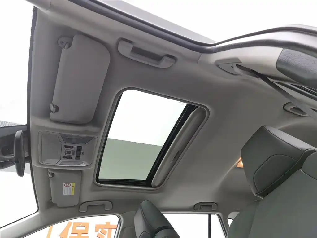 TOYOTA RAV4 RONGFANG DUAL ENGINE E+