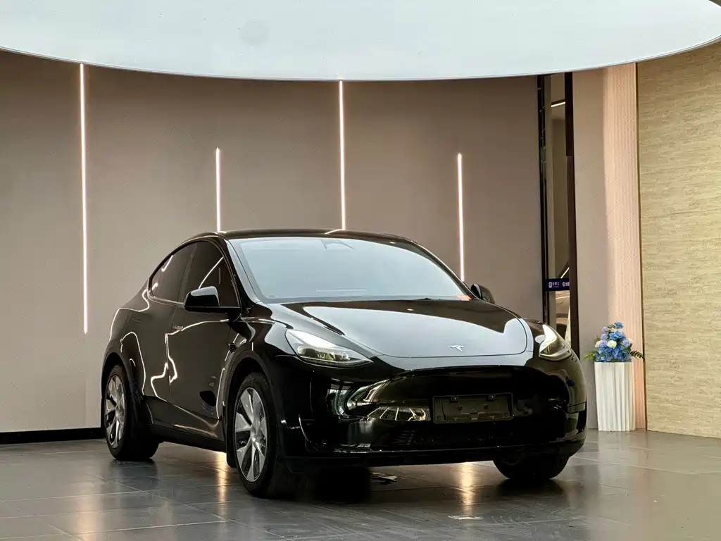 Tesla Model Y — миниатюра 3