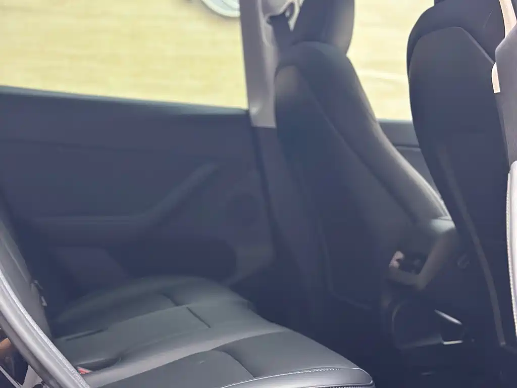 Tesla Model Y — миниатюра 6