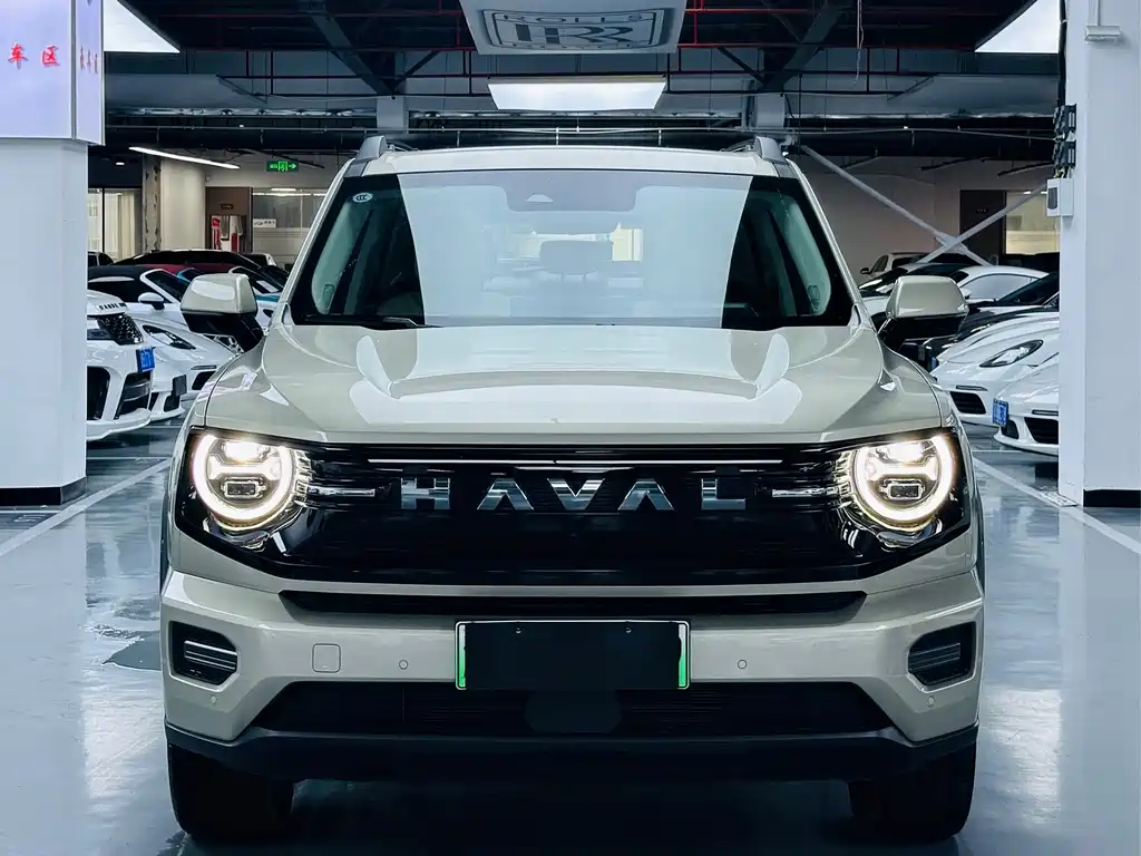 Haval Big Dog PLUS New Energy — миниатюра 2
