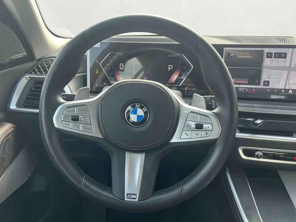 BMW X5 — миниатюра 8