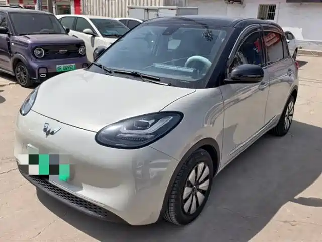 WULING WULING BINGGUO 2024