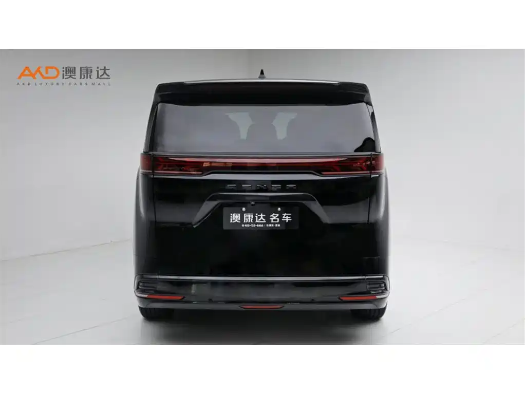 Denza Denza D9 — миниатюра 4