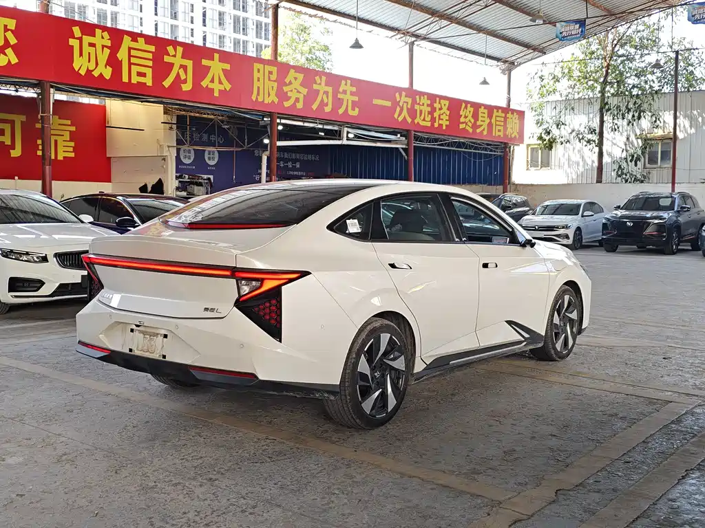 Lingxi Lingxi L — миниатюра 9