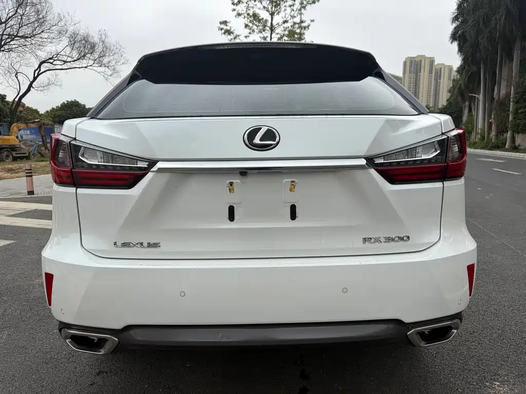 LEXUS RX