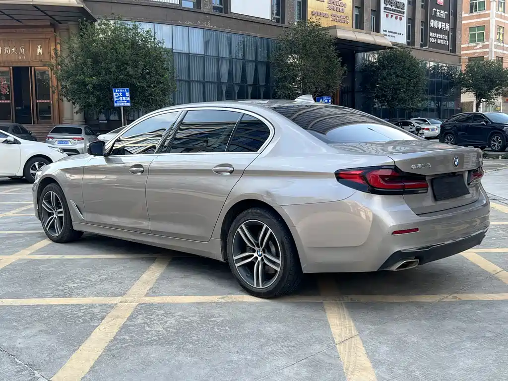 BMW 5 Series 5 2021 530Li Lead Luxury