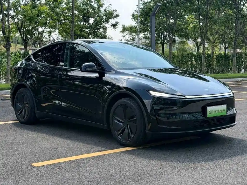 Tesla Model Y — миниатюра 3
