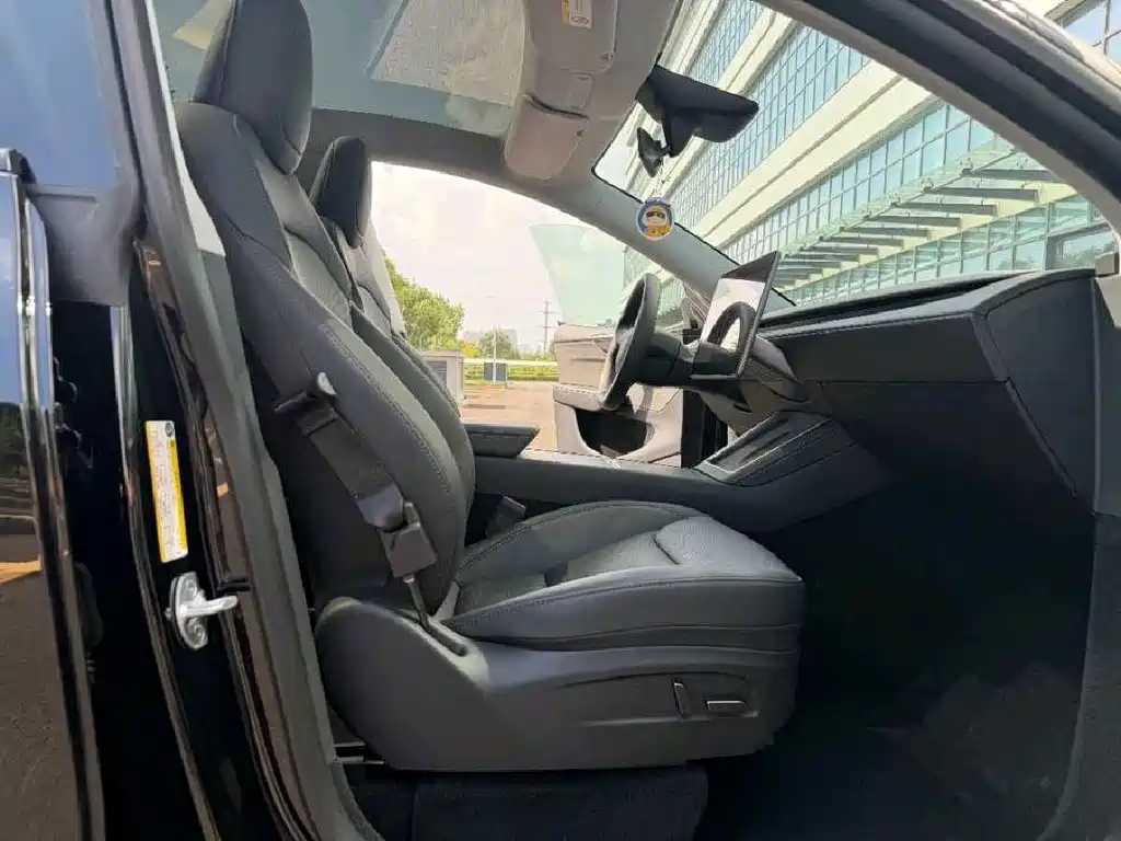 Tesla Model Y — миниатюра 12